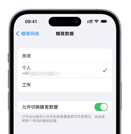 多宝镇苹果维修服务分享如何在iPhone上使用双卡 